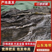 (国产放心购)山东威海荣成厚海带整条海带日晒无沙干货家用