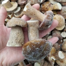 野生美味牛肝菌白牛肝菌冻品大腿菇产地现货直销批发