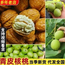 青皮核桃，早熟青皮核桃，鲜核桃全国发货电商可供