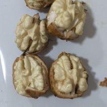 新疆核桃