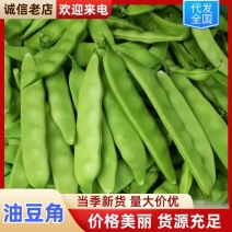 油豆角吉林油豆角大量有货量大从优保质保量可对接商超市场