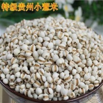 贵州小薏米薏苡仁熬粥2斤包邮量大优惠