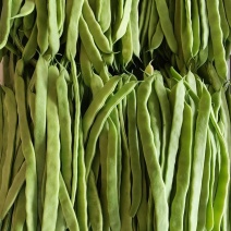 扁豆角大量上市需要的老板联系