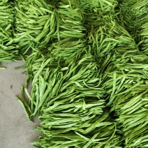 扁豆角大量上市