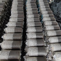 平菇菌棒基地源头现货提供技术指导