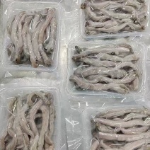 沙虫，电商食材沙虫，去内脏沙虫，酒店食材