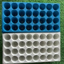 加深32孔林木草莓育苗盘白色蓝色现货充足