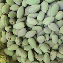 巴旦木鲜果