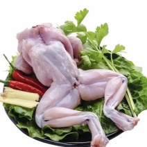 新鲜现杀牛蛙冷冻牛蛙规格4-6两品质优可对接烧烤火锅食材