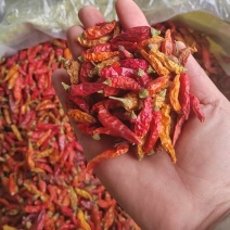 河南周口精品干货野山椒干辣椒现货速发大量供应