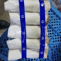 【实力商家】江苏连云港精品杏鲍菇一手货源批发价