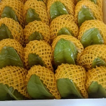 杨桃