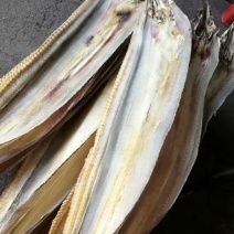 鳗鱼干山东特产盐干淡干鳗鱼干海鳗干晒场直供货