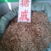 枫树种子