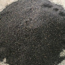 精品面条菜种子货源充足量大从优质量保证欢迎咨询