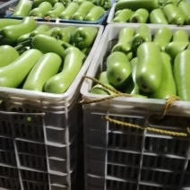 瓢瓜