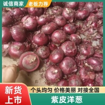 紫皮洋葱大量现货出售，规格齐全，品质保证，可视频看货