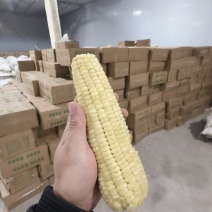 吉林大白糯300g-360g可代加工真空包装，礼品盒装
