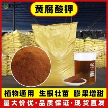 生化黄腐酸钾粉剂水溶叶面滴管喷施肥种植膨果增甜厂家直供