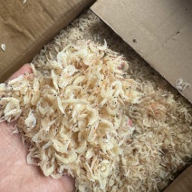 大虾皮，咸虾皮，
