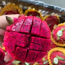 推荐云南火龙果红心火龙果红宝龙货源充足量大从优