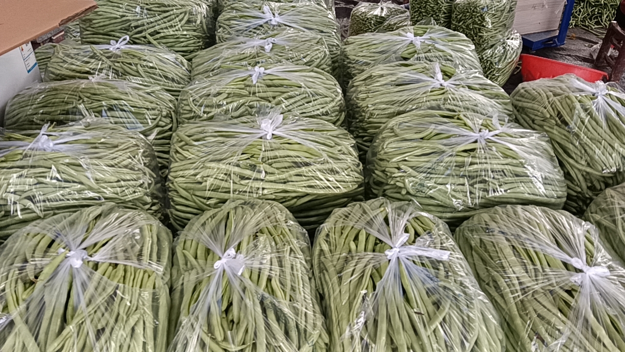 展示巨荚一号四季豆在农贸市场或超市货架上整齐摆放,标签标明品种名称和产地,吸引消费者选购 巨荚一号四季豆在市场销售场景