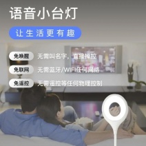 智能语音灯USB彩色灯led迷你创意灯语音控制感应小夜灯