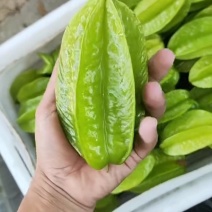 杨桃礼盒装