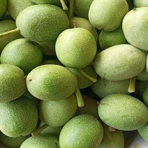 大量现货青皮核桃，欢迎采购商骚扰