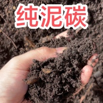 纯泥碳土