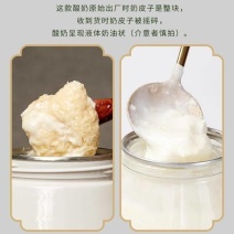 内蒙古大草原奶皮子酸奶年货送礼手工奶片
