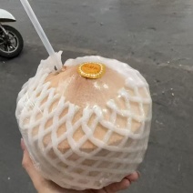 泰国香水椰青