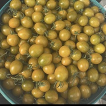 糖伯虎小番茄果肉细腻，脆甜爆汁口感好甜度高