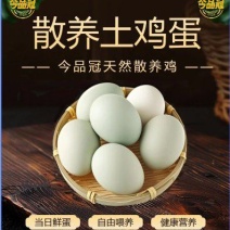 湖北一手货源土鸡蛋新鲜上市价格美丽热卖欢迎采购联系