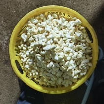 水果菱角米