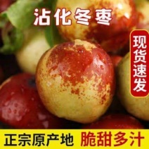 《实力》正宗山东冬枣基地直发对接商超团购电商一条龙