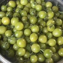 清甜小番茄，纯甜无酸，满口爆汁富含丰富维生素VC