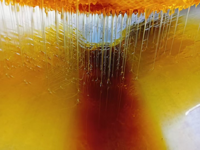 梦见好多野生蜂蜜(梦见好多野生蜂蜜什么预兆)