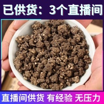 猫爪草直播间供货己有3家