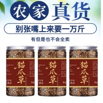 支持验货批发猫爪草淮滨信阳