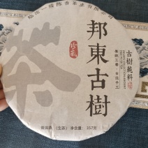 普洱茶
