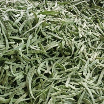 山西晋北绿色蔬菜批发基地！豆角