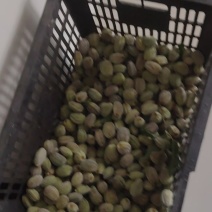 巴旦木鲜货