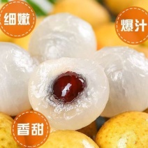 【顺丰包邮】高州新鲜石硖龙眼现摘现发清甜多汁肉厚饱满当季水果