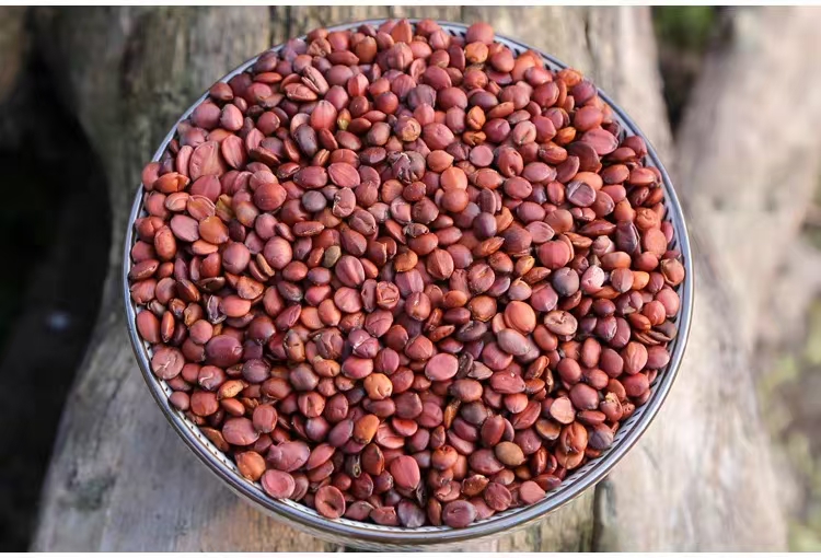 侧柏仁药膳制作过程图