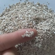 东北高钙水洗贝壳粉