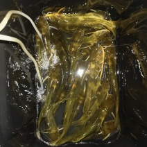 黄骨鱼
