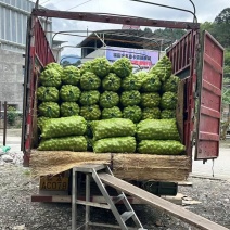 黑桃