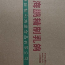 冰鲜乳鸽
