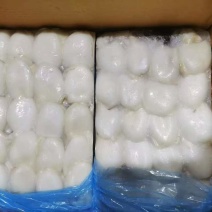 冷冻墨鱼仔（原料级）规格：10～20，10以上